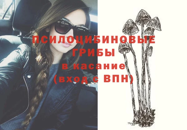 ПСИЛОЦИБИНОВЫЕ ГРИБЫ Балахна
