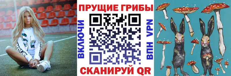 Галлюциногенные грибы Cubensis  купить наркотики цена  Пугачёв 
